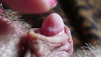 Intense Focus On My Large Clitoris Tip Throbbing
